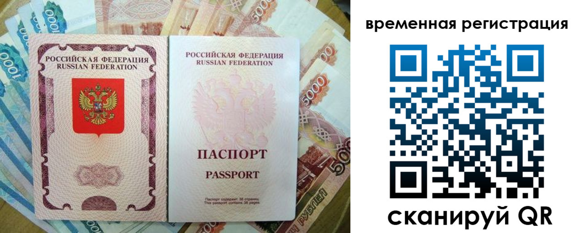 прописка для школы в Покрове